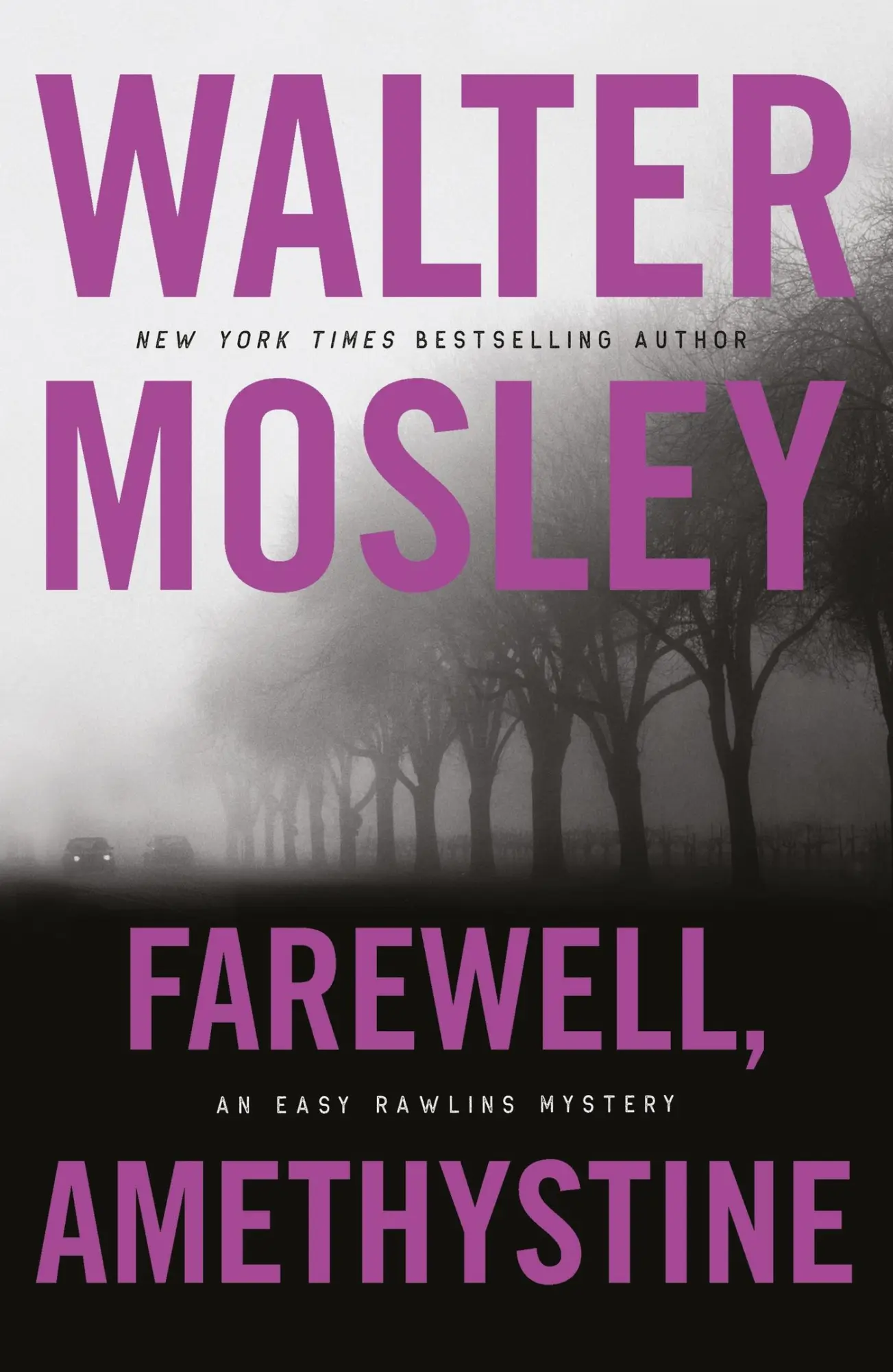 Cover: 9781474616607 | Farewell, Amethystine | Walter Mosley | Taschenbuch | Englisch | 2025