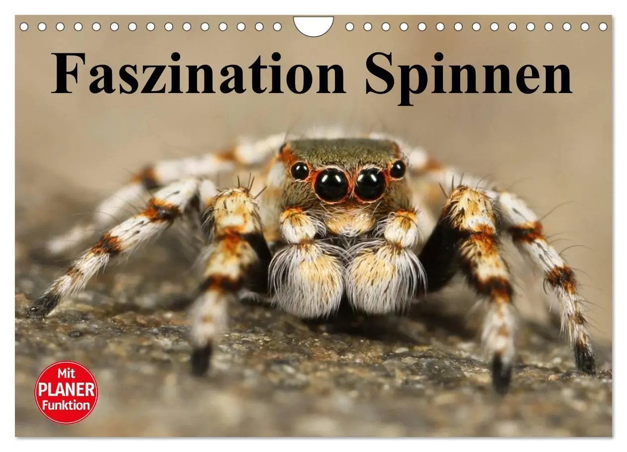 Cover: 9783457996607 | Faszination Spinnen (Wandkalender 2026 DIN A4 quer), CALVENDO...