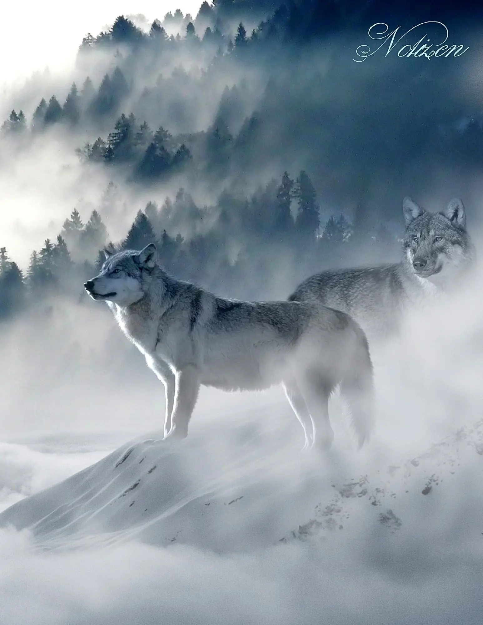 Cover: 9783945376607 | Fantasy Notizbuch: Wölfe im Nebel - weiße Seiten mit Eckmotiv | Buch