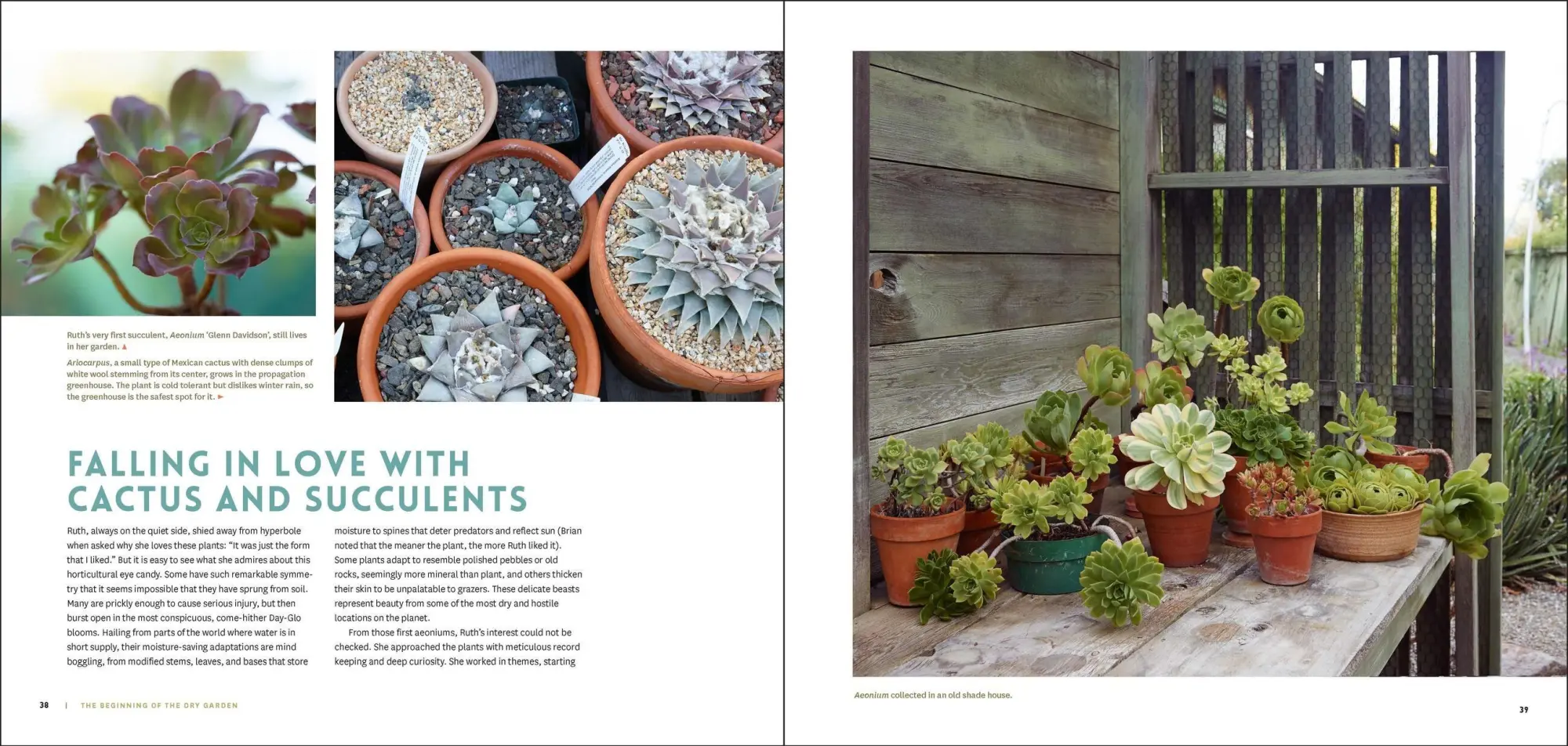 Bild: 9781604696707 | The Bold Dry Garden | Lessons from the Ruth Bancroft Garden | Silver