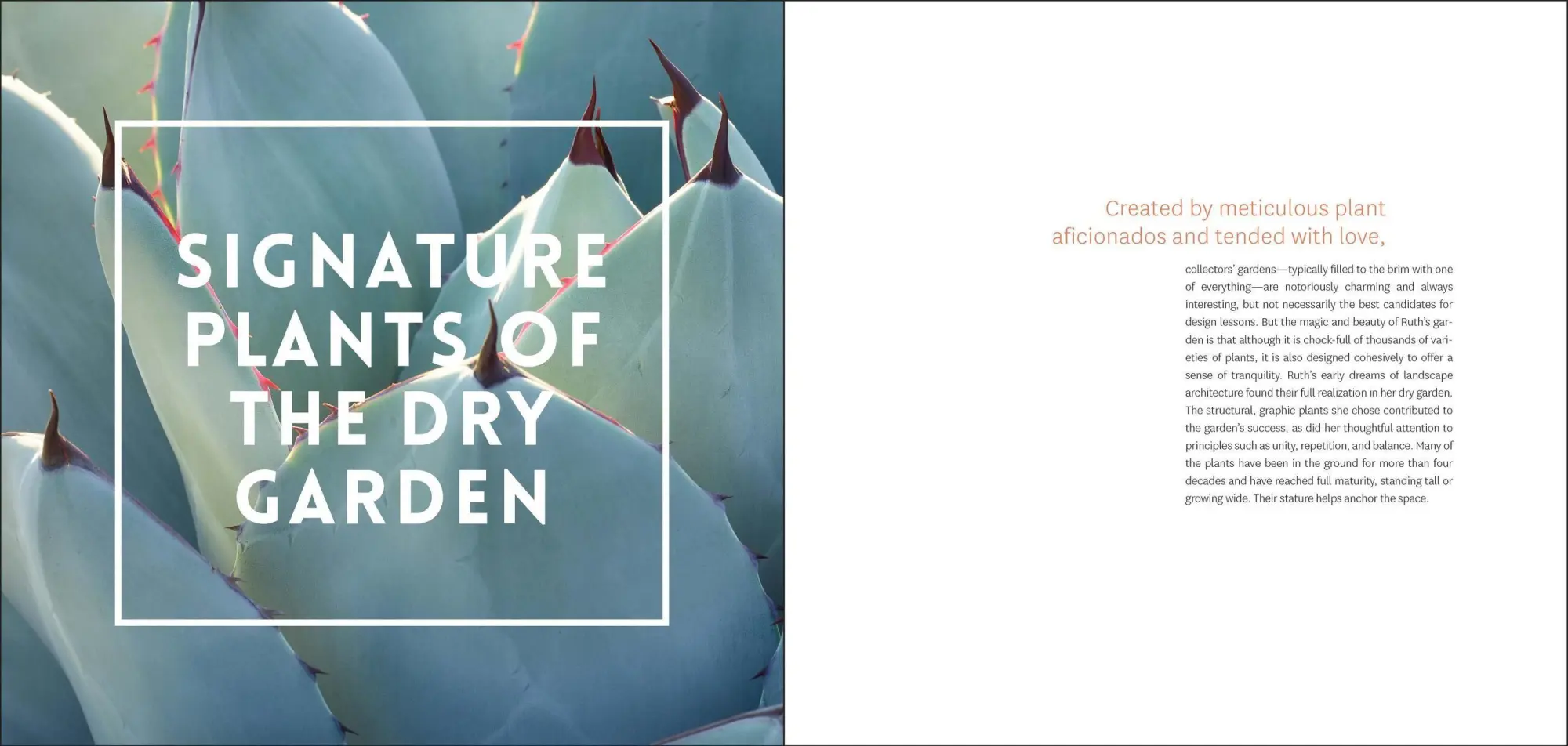 Bild: 9781604696707 | The Bold Dry Garden | Lessons from the Ruth Bancroft Garden | Silver