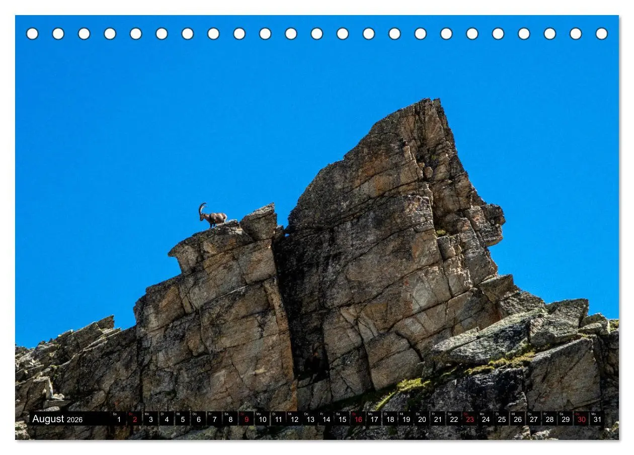 Bild: 9783457676707 | Wanderparadies Montafon (Tischkalender 2026 DIN A5 quer), CALVENDO...