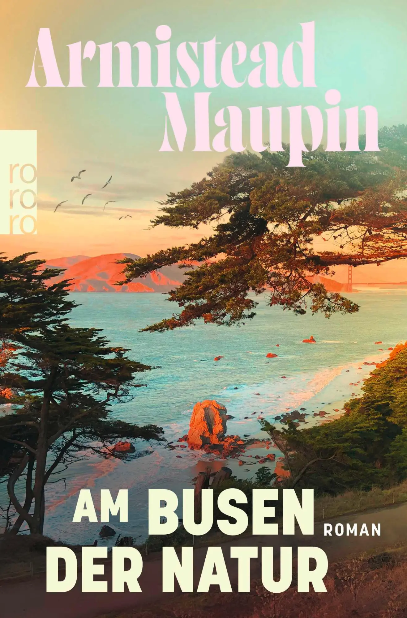 Cover: 9783499016707 | Am Busen der Natur | Armistead Maupin | Taschenbuch | Stadtgeschichten