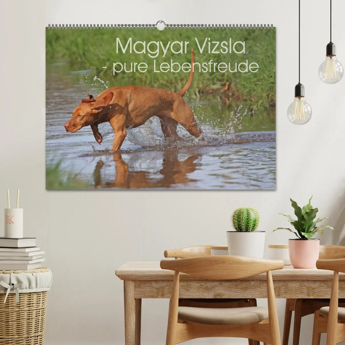 Bild: 9783516076707 | Magyar Vizsla - pure Lebensfreude (Wandkalender 2026 DIN A2 quer),...