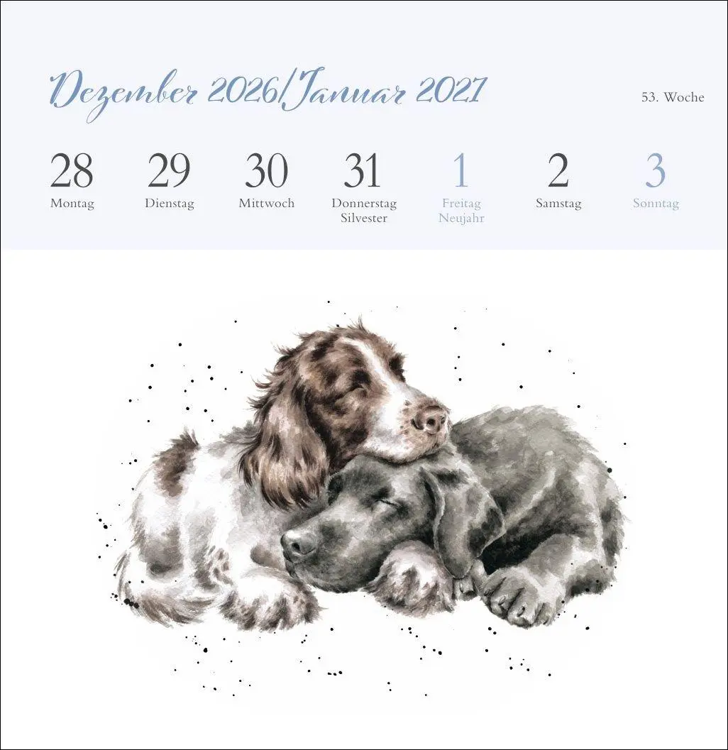 Bild: 9783756416707 | Hannah Dale: Happy Animals Premium-Postkartenkalender 2027 | Dale