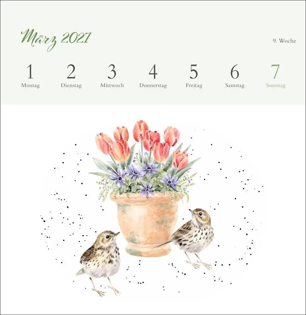 Bild: 9783756416707 | Hannah Dale: Happy Animals Premium-Postkartenkalender 2027 | Dale
