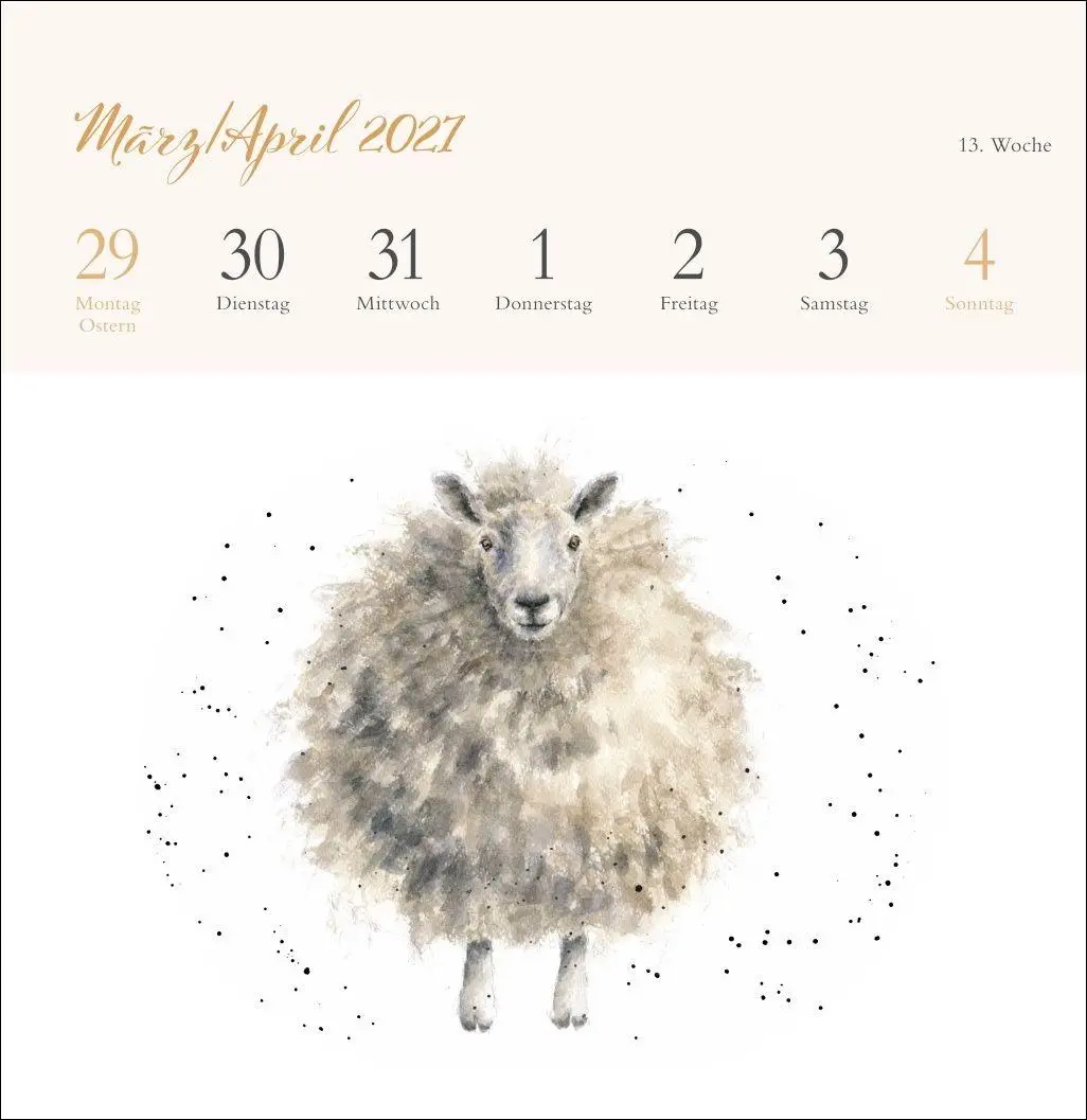 Bild: 9783756416707 | Hannah Dale: Happy Animals Premium-Postkartenkalender 2027 | Dale