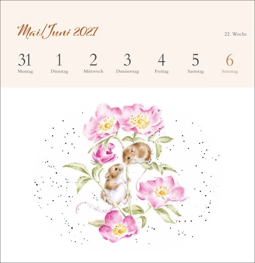 Bild: 9783756416707 | Hannah Dale: Happy Animals Premium-Postkartenkalender 2027 | Dale