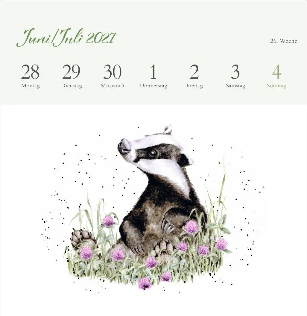 Bild: 9783756416707 | Hannah Dale: Happy Animals Premium-Postkartenkalender 2027 | Dale