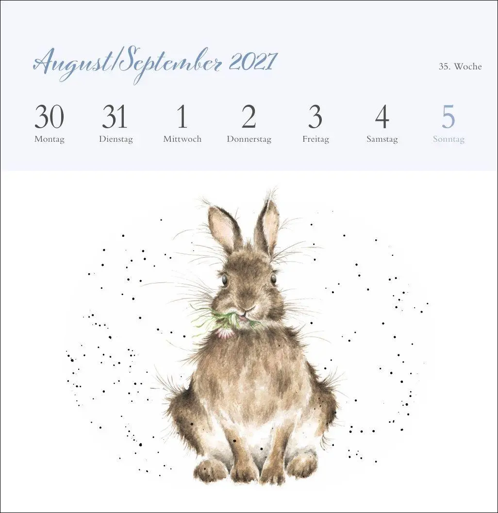 Bild: 9783756416707 | Hannah Dale: Happy Animals Premium-Postkartenkalender 2027 | Dale