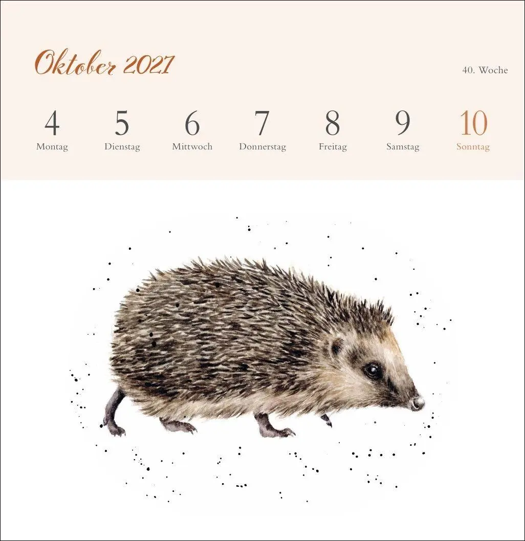Bild: 9783756416707 | Hannah Dale: Happy Animals Premium-Postkartenkalender 2027 | Dale