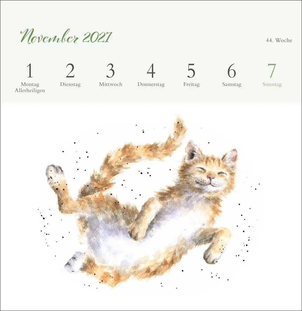 Bild: 9783756416707 | Hannah Dale: Happy Animals Premium-Postkartenkalender 2027 | Dale