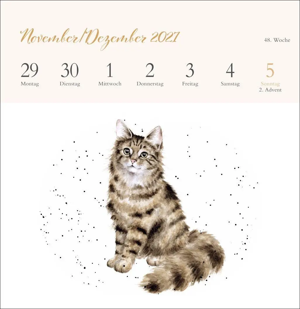 Bild: 9783756416707 | Hannah Dale: Happy Animals Premium-Postkartenkalender 2027 | Dale