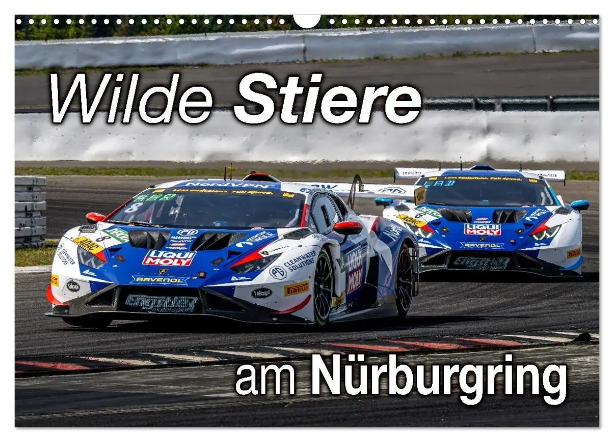 Cover: 9783516686807 | Wilde Stiere am Nürburgring (Wandkalender 2026 DIN A3 quer),...