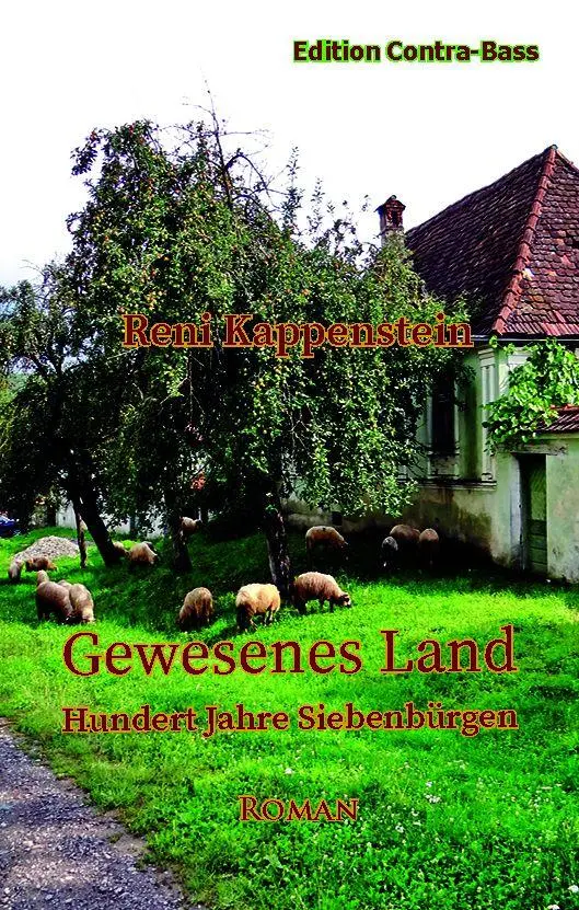 Cover: 9783943446807 | Gewesenes Land | Hundert Jahre Siebenbürgen | Reni Kappenstein | Buch