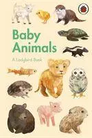 Cover: 9780241416907 | A Ladybird Book: Baby Animals | Stephanie Fizer Coleman | Buch | 2021