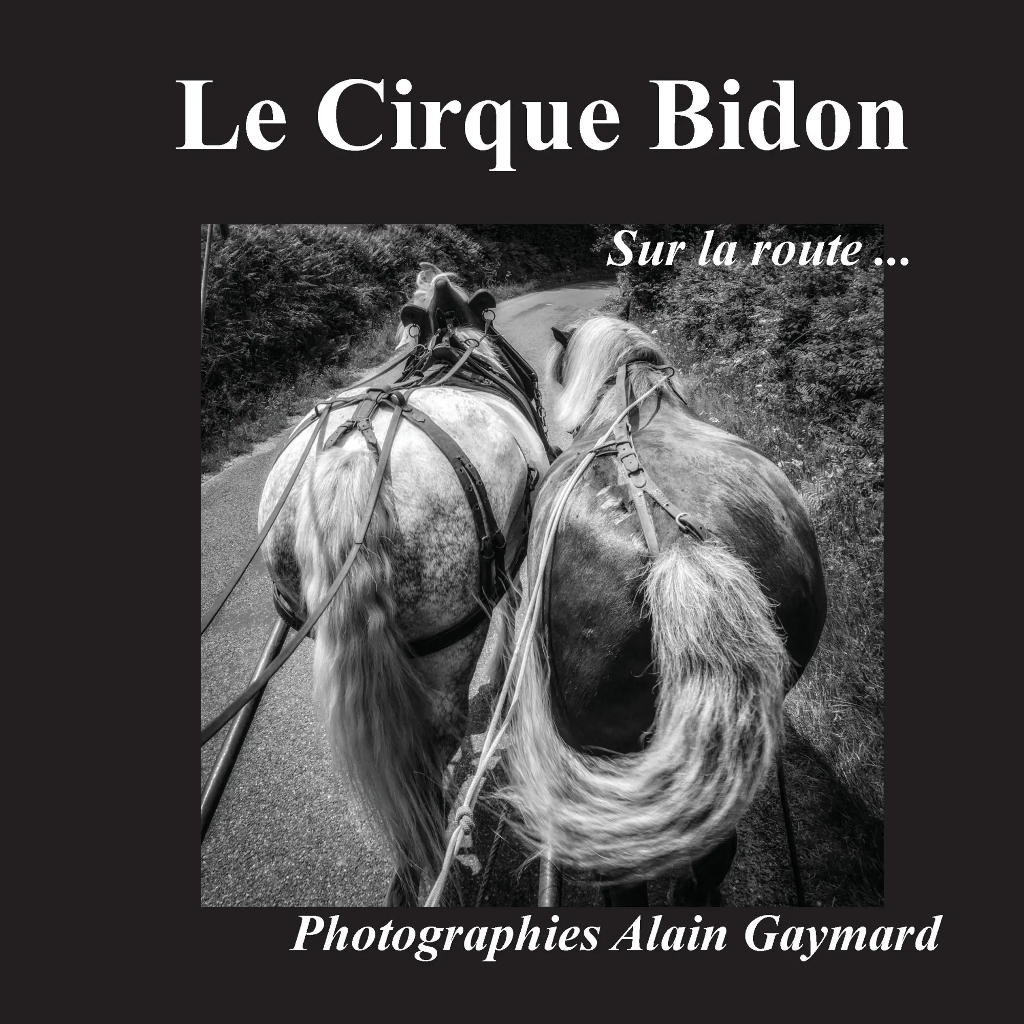 Cover: 9782322016907 | Le cirque Bidon | Sur la route | Alain Gaymard | Taschenbuch | 80 S.