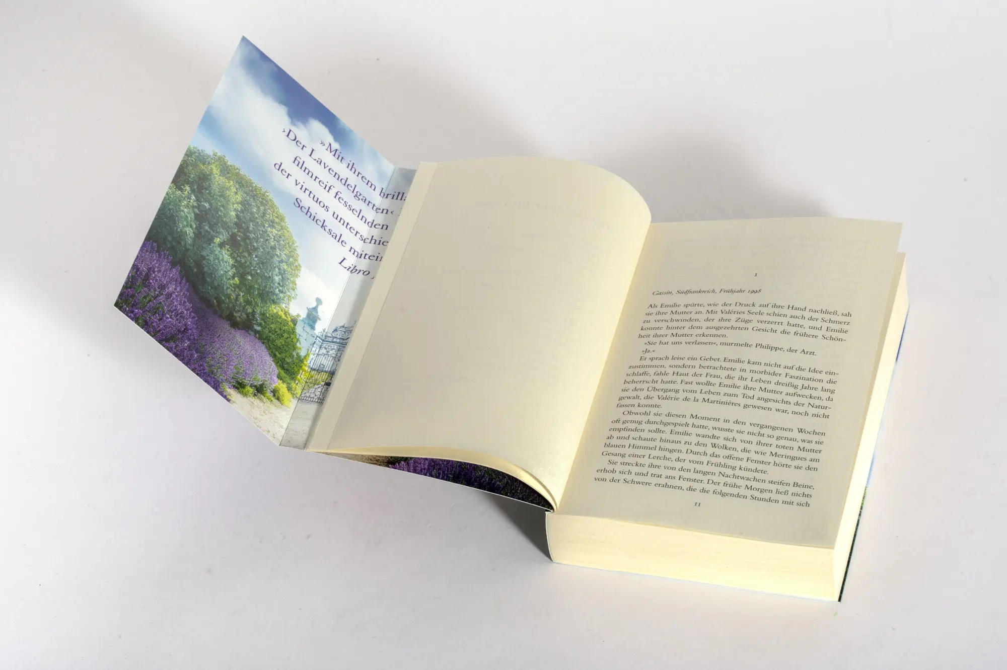 Bild: 9783442496907 | Der Lavendelgarten | Roman | Lucinda Riley | Taschenbuch | 528 S.