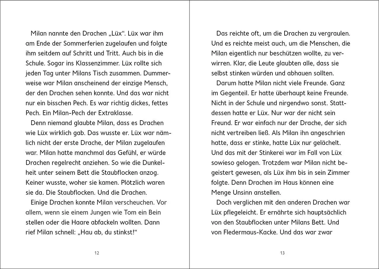Bild: 9783743216907 | Drachenschule Nebelsturm (Band 1) - Im Sturzflug ins Abenteuer | Buch