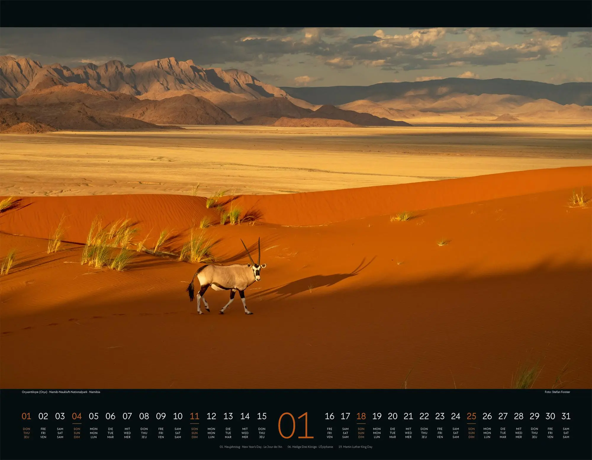 Bild: 9783838426907 | Wildes Afrika Kalender 2026 | Ackermann Kunstverlag GmbH | Kalender
