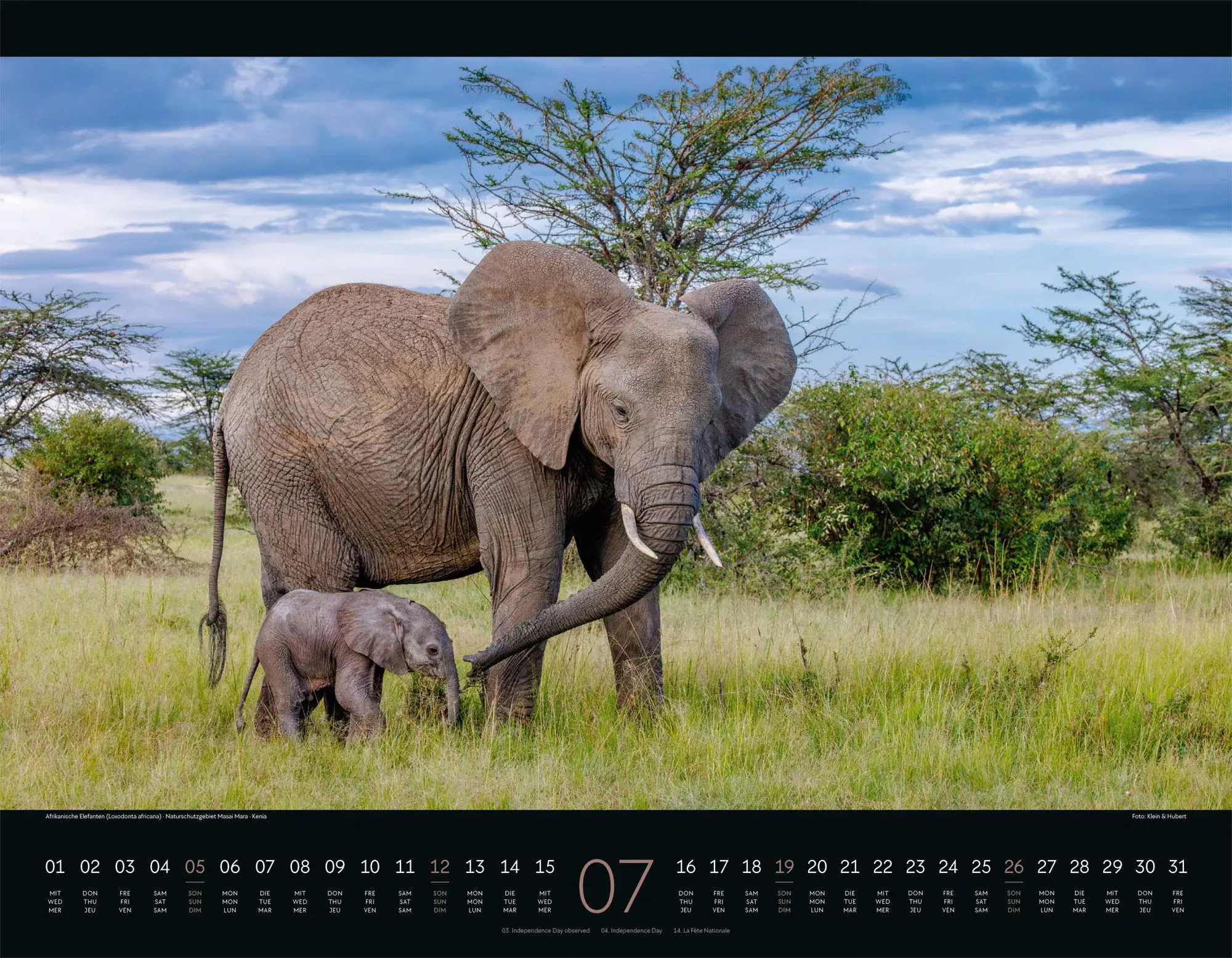 Bild: 9783838426907 | Wildes Afrika Kalender 2026 | Ackermann Kunstverlag GmbH | Kalender