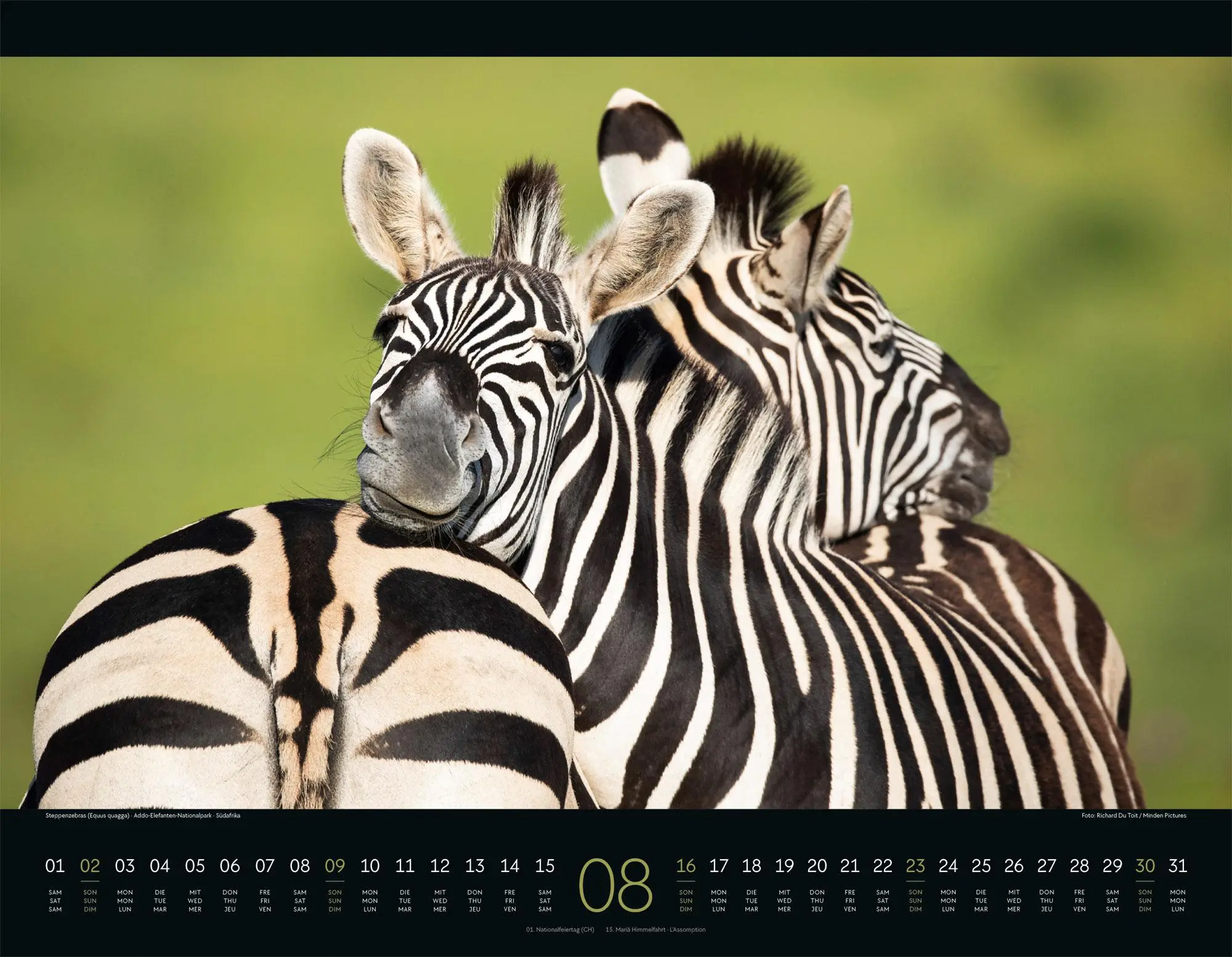 Bild: 9783838426907 | Wildes Afrika Kalender 2026 | Ackermann Kunstverlag GmbH | Kalender