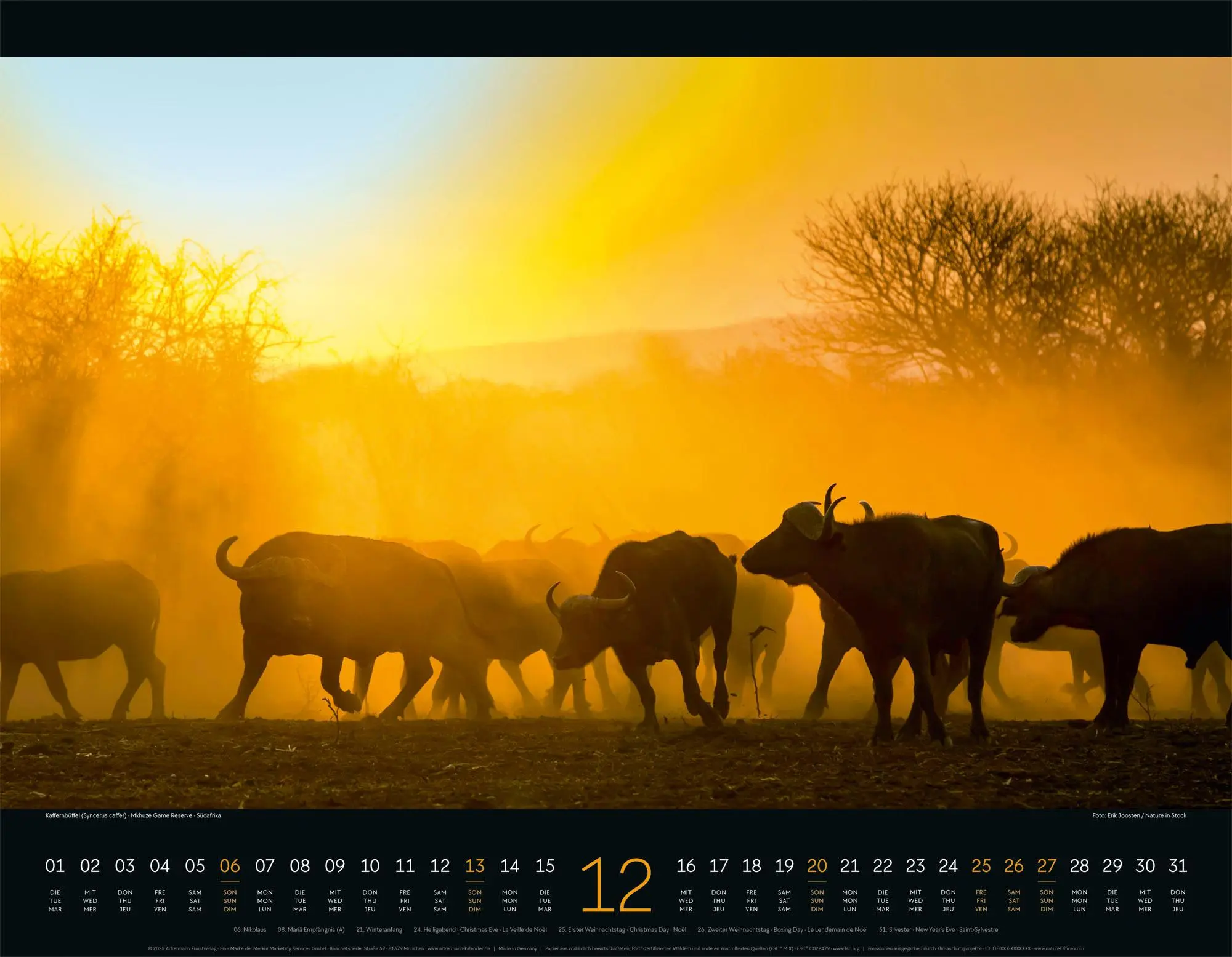Bild: 9783838426907 | Wildes Afrika Kalender 2026 | Ackermann Kunstverlag GmbH | Kalender