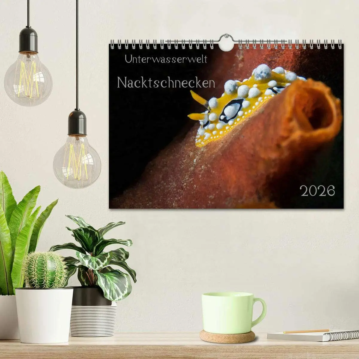Bild: 9783516017007 | Unterwasserwelt Nacktschnecken (Wandkalender 2026 DIN A4 quer),...