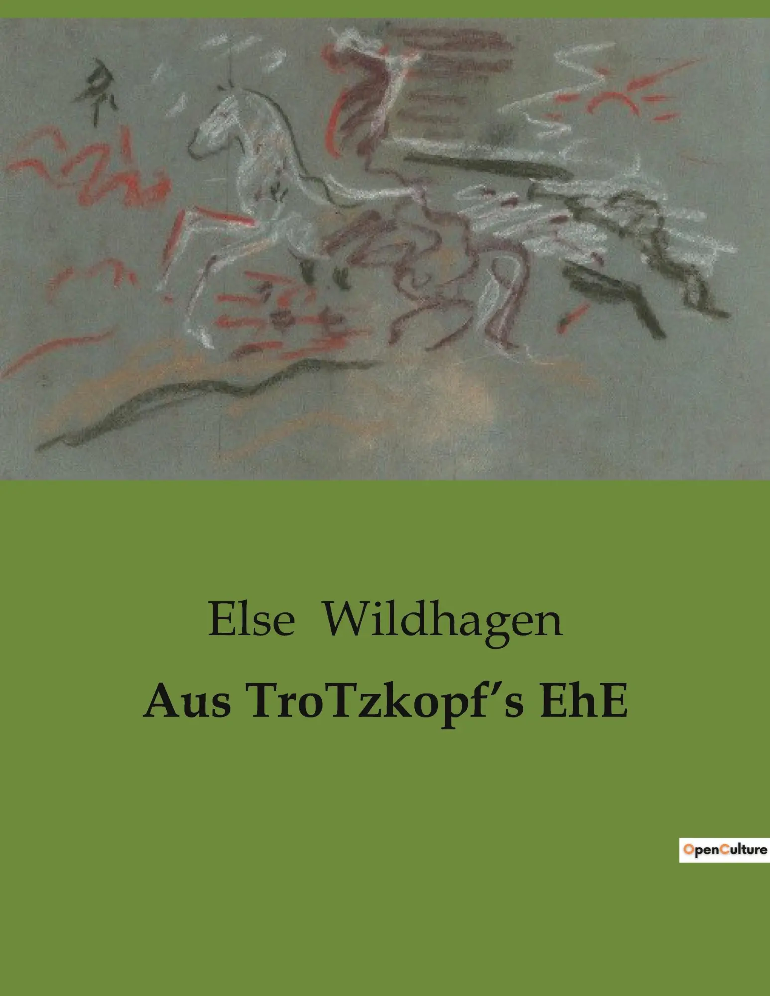 Cover: 9791041907007 | Aus TroTzkopf¿s EhE | Else Wildhagen | Taschenbuch | Paperback | 2023