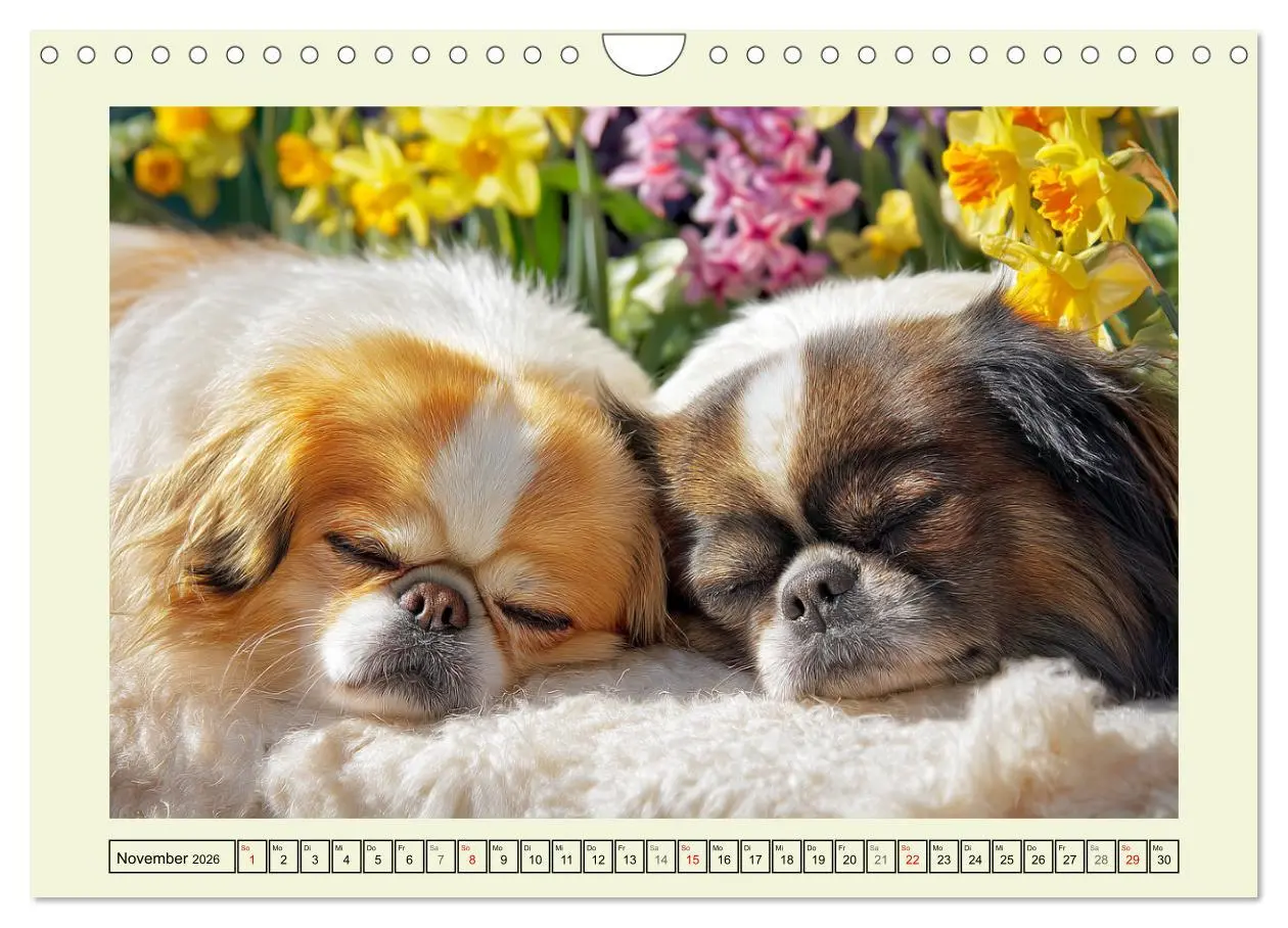 Bild: 9783457917107 | Edle Japan Chins. Zarte Herzen aus Fernost (Wandkalender 2026 DIN...