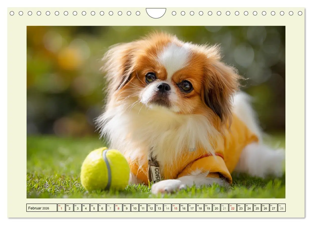 Bild: 9783457917107 | Edle Japan Chins. Zarte Herzen aus Fernost (Wandkalender 2026 DIN...