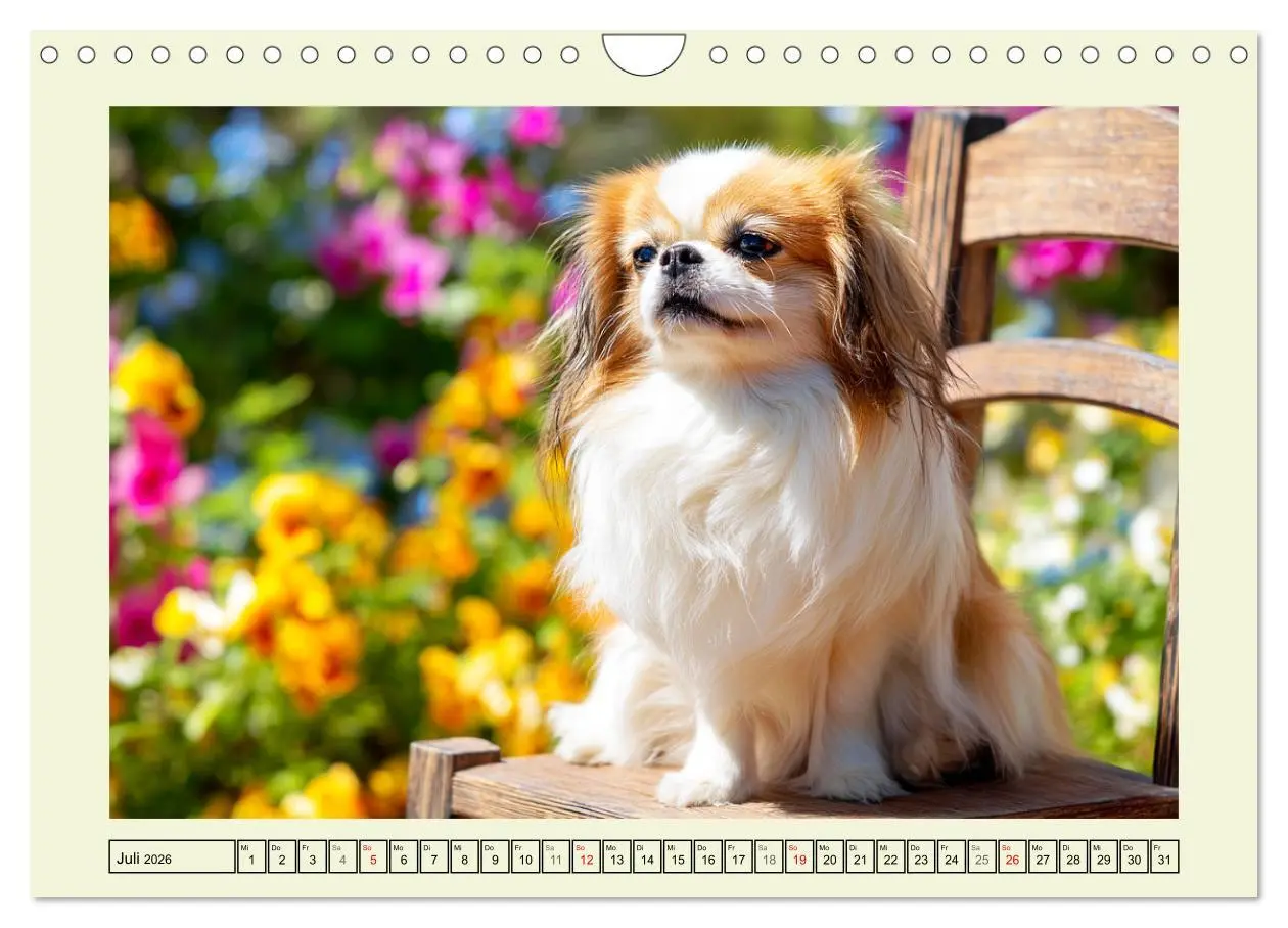 Bild: 9783457917107 | Edle Japan Chins. Zarte Herzen aus Fernost (Wandkalender 2026 DIN...