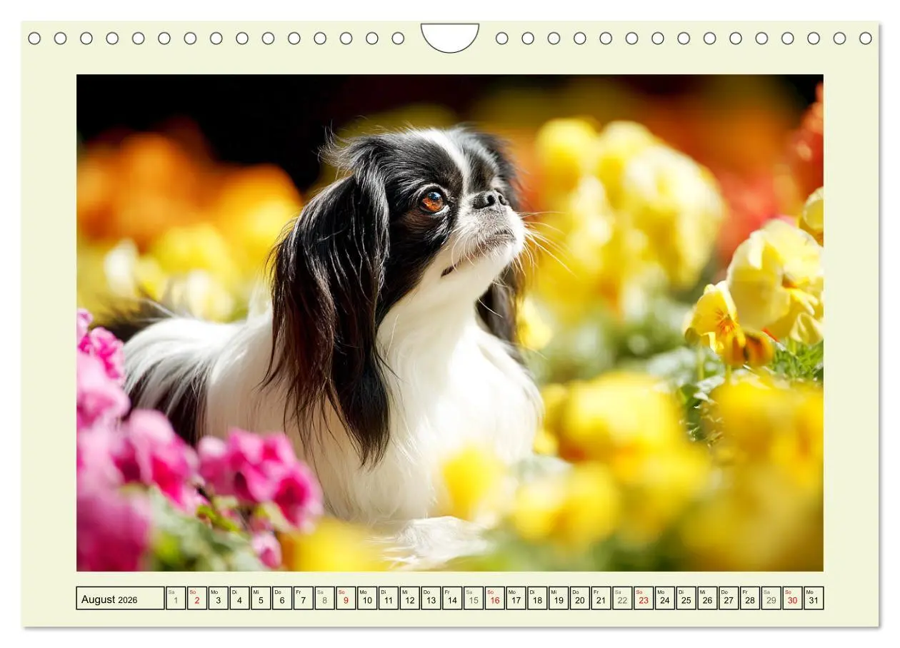 Bild: 9783457917107 | Edle Japan Chins. Zarte Herzen aus Fernost (Wandkalender 2026 DIN...