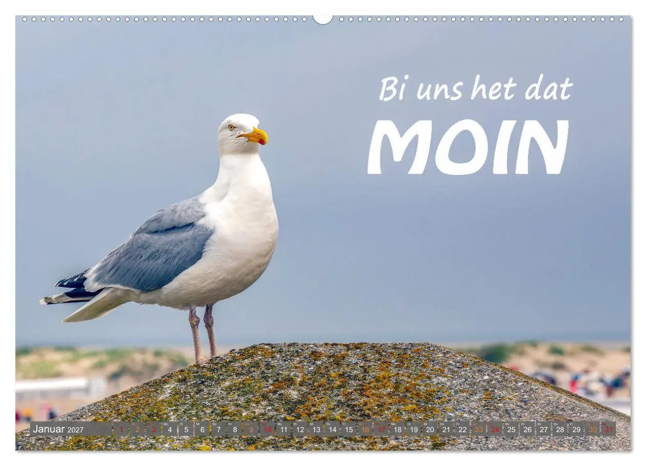 Bild: 9783569337107 | De Sprökje Kalenner "We proten platt" (Wandkalender 2027 DIN A2...