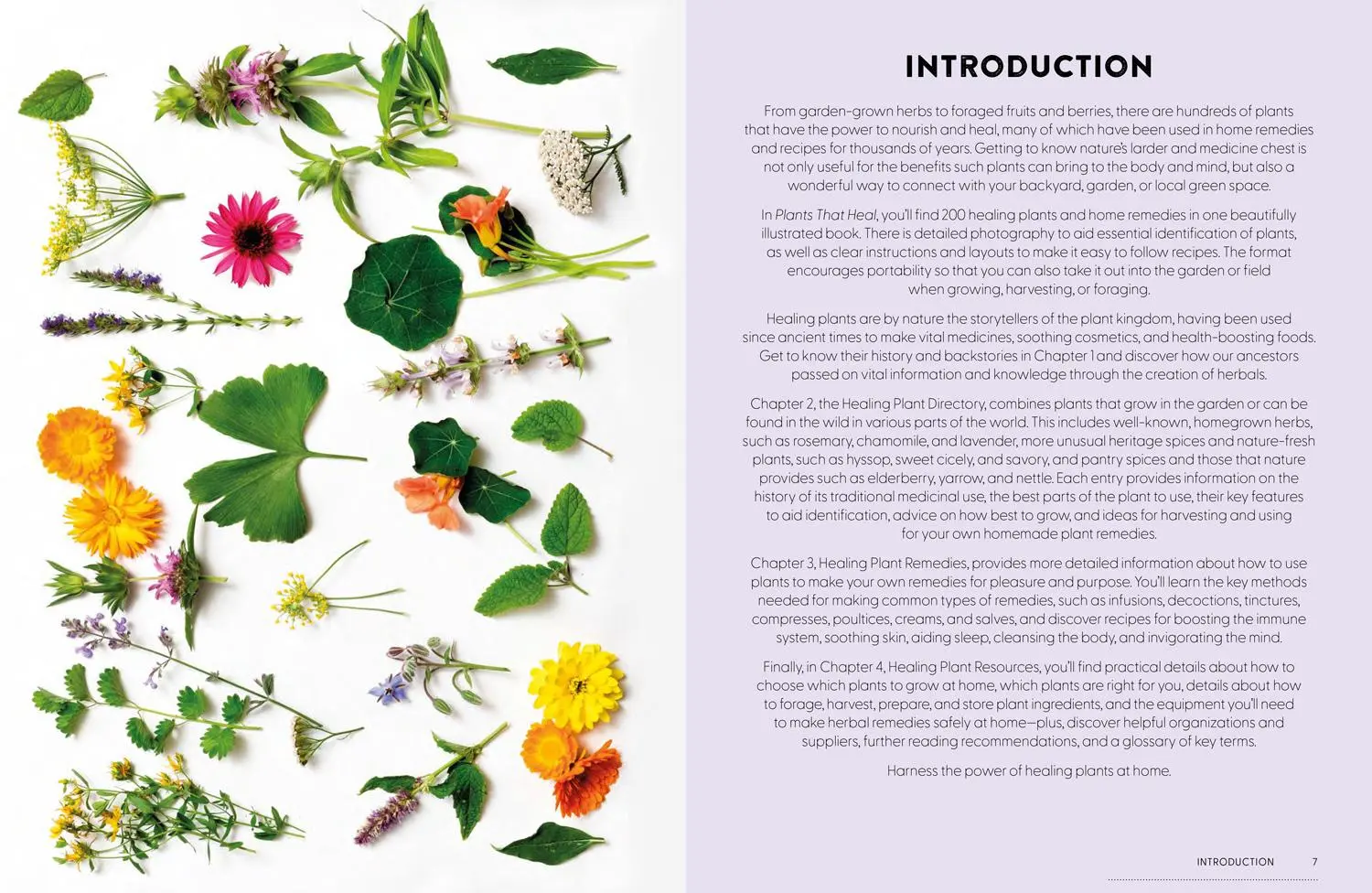 Bild: 9780008737207 | Plants That Heal | 200 Healing Plants and Home Remedies | Newcombe