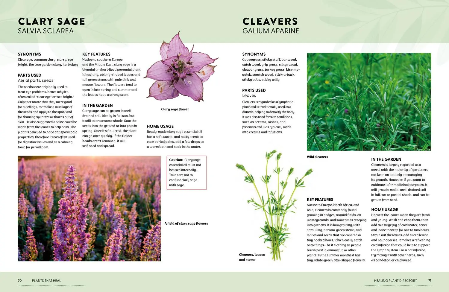 Bild: 9780008737207 | Plants That Heal | 200 Healing Plants and Home Remedies | Newcombe