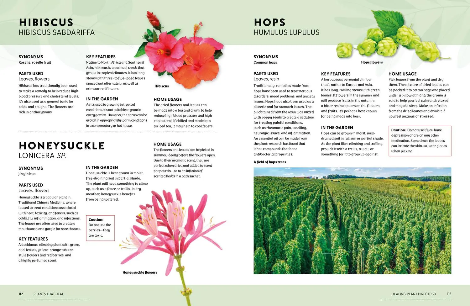 Bild: 9780008737207 | Plants That Heal | 200 Healing Plants and Home Remedies | Newcombe