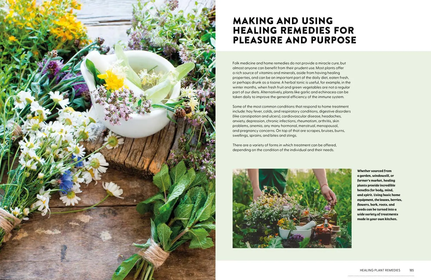 Bild: 9780008737207 | Plants That Heal | 200 Healing Plants and Home Remedies | Newcombe