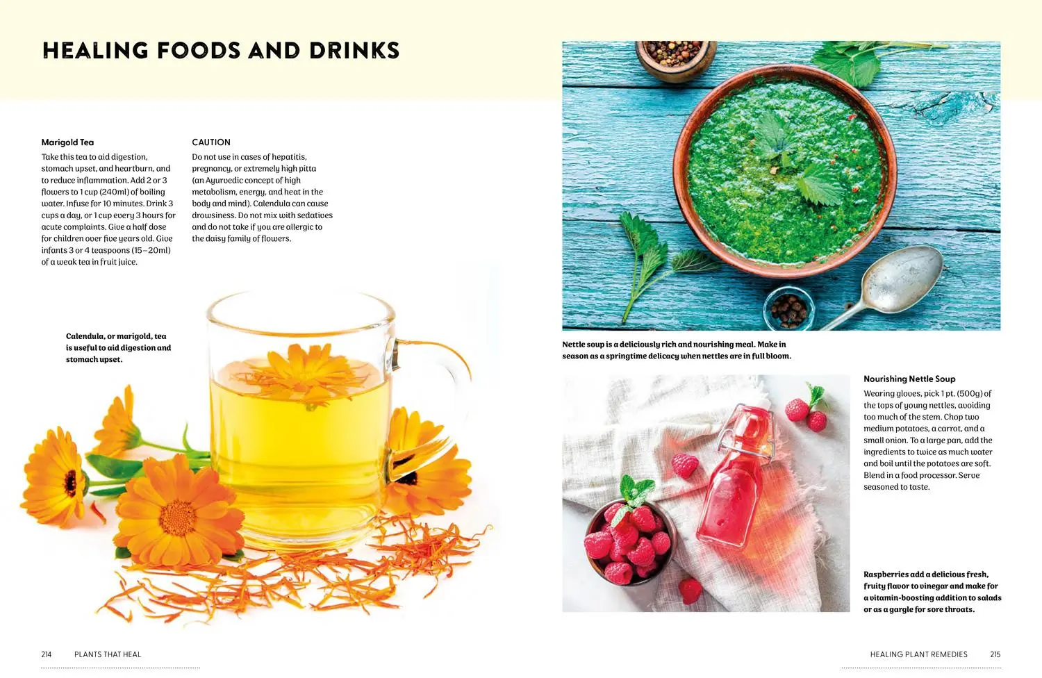 Bild: 9780008737207 | Plants That Heal | 200 Healing Plants and Home Remedies | Newcombe
