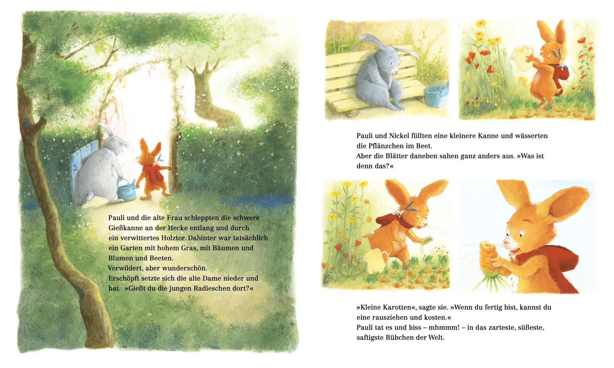 Bild: 9783314107207 | Pauli - Ein Garten für alle | Brigitte Weninger | Buch | 32 S. | 2025