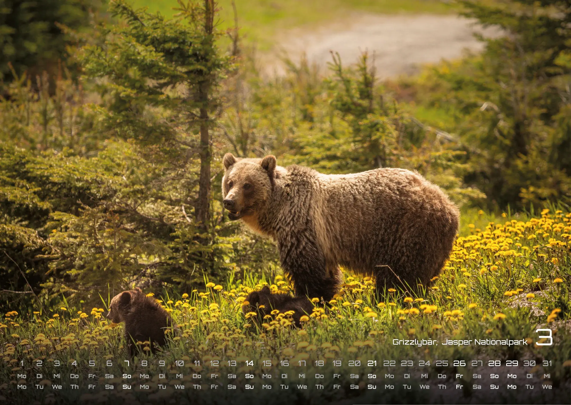 Bild: 9783986737207 | Kanada - Abenteuer Natur - 2027 - Kalender DIN A3 | GP-Fever. de