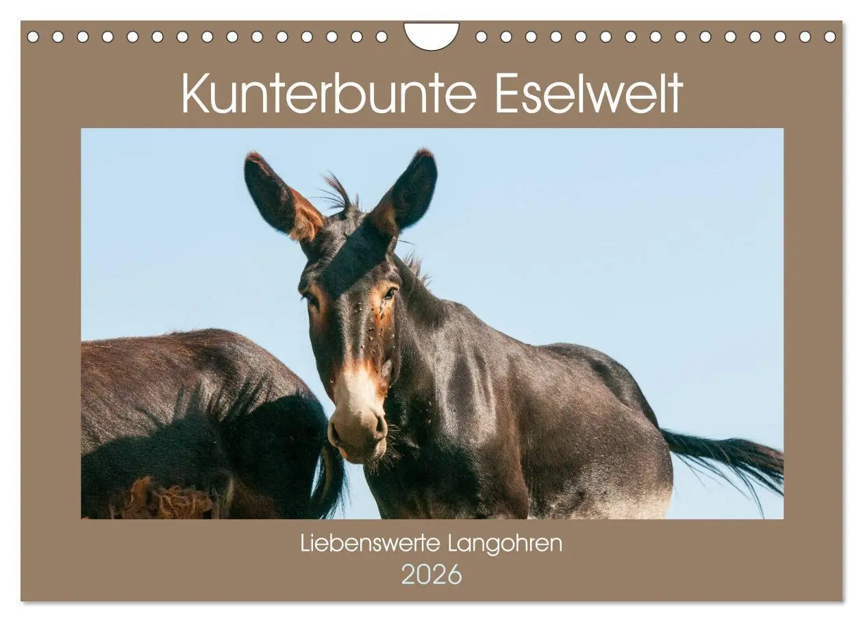 Cover: 9783457757307 | Kunterbunte Eselwelt - Liebenswerte Langohren (Wandkalender 2026...