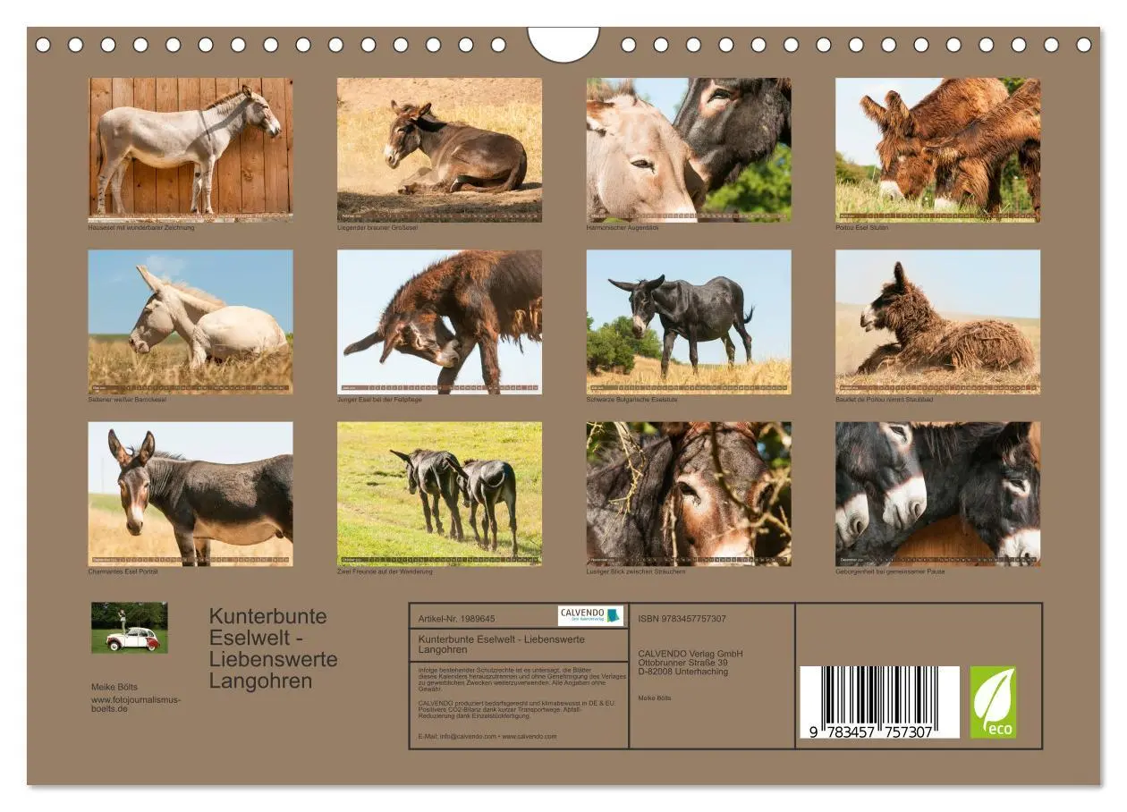 Bild: 9783457757307 | Kunterbunte Eselwelt - Liebenswerte Langohren (Wandkalender 2026...