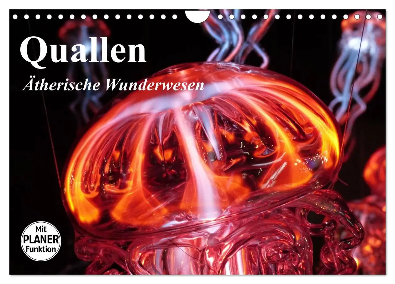 Cover: 9783457997307 | Quallen. Ätherische Wunderwesen (Wandkalender 2026 DIN A4 quer),...