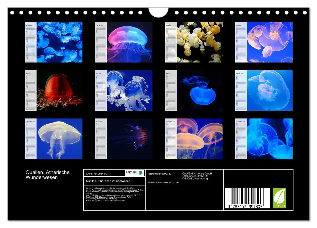Bild: 9783457997307 | Quallen. Ätherische Wunderwesen (Wandkalender 2026 DIN A4 quer),...