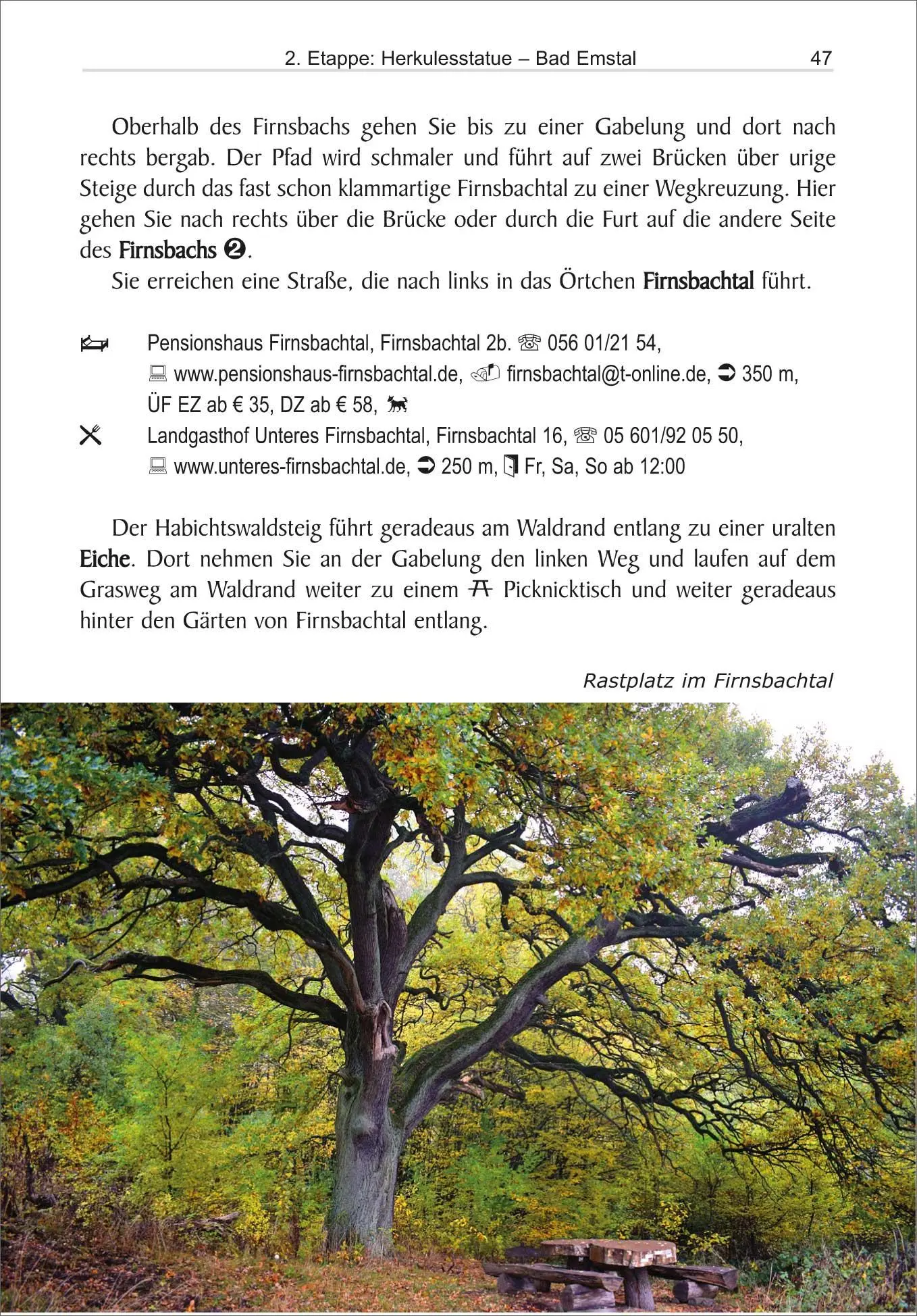 Bild: 9783866867307 | Habichtswaldsteig | von Zierenberg zum Edersee | Ingrid Retterath