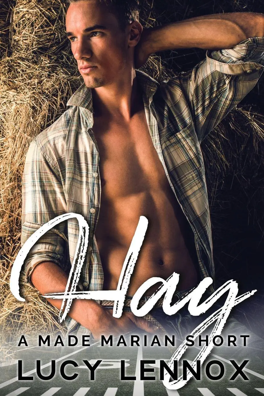 Cover: 9781954857407 | Hay | A Made Marian Short | Lucy Lennox | Taschenbuch | Englisch