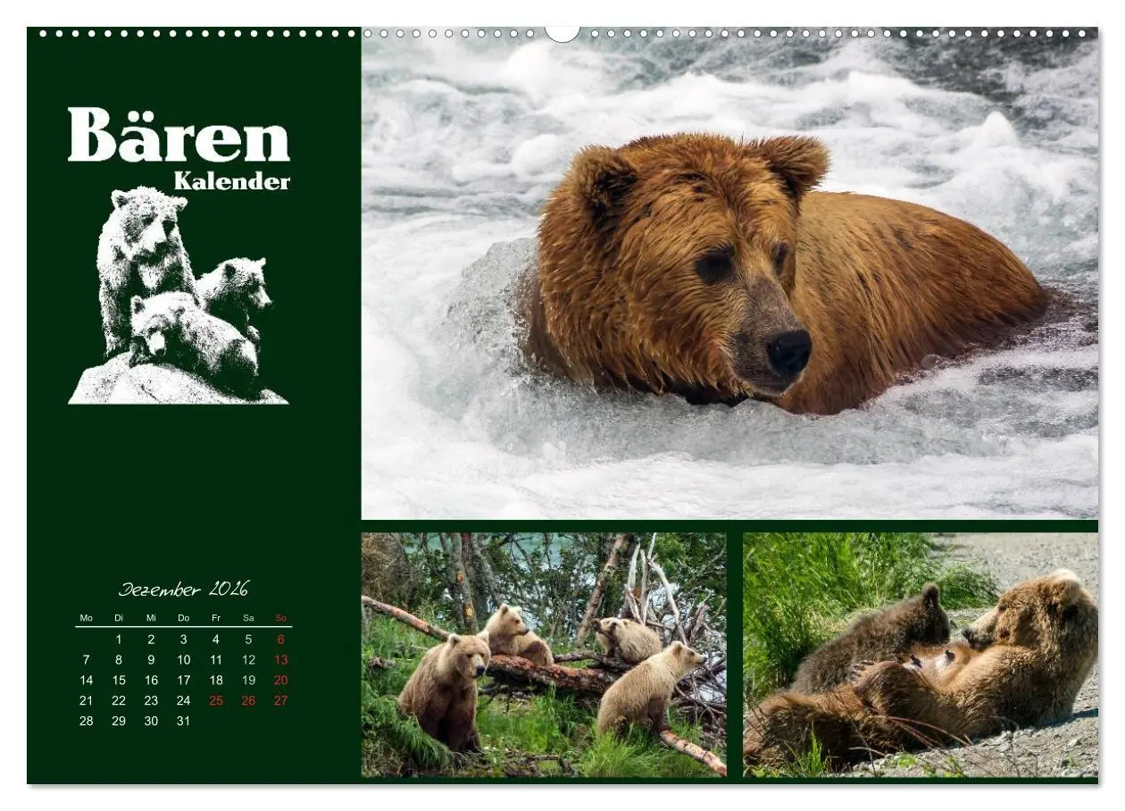 Bild: 9783516217407 | Bärenkalender (hochwertiger Premium Wandkalender 2026 DIN A2 quer),...