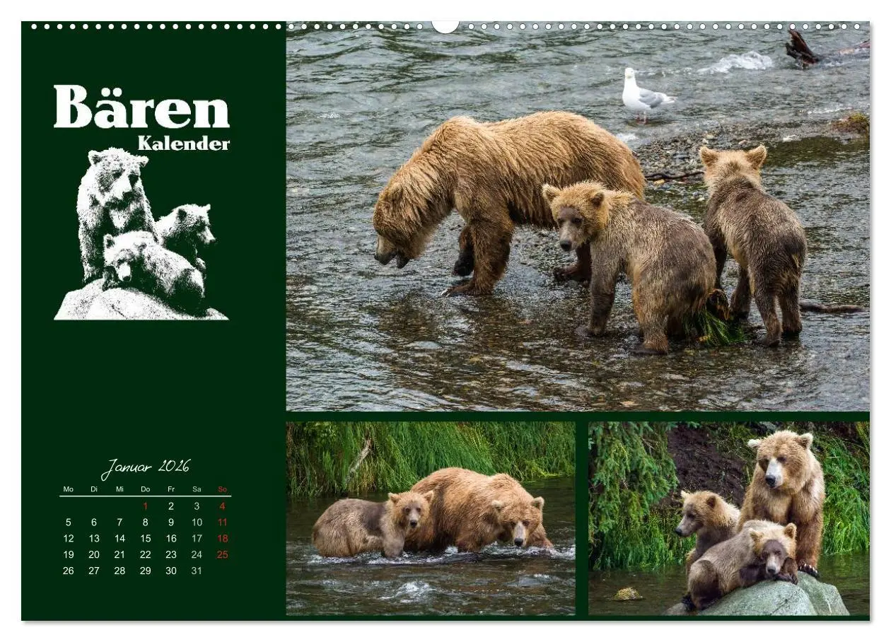 Bild: 9783516217407 | Bärenkalender (hochwertiger Premium Wandkalender 2026 DIN A2 quer),...