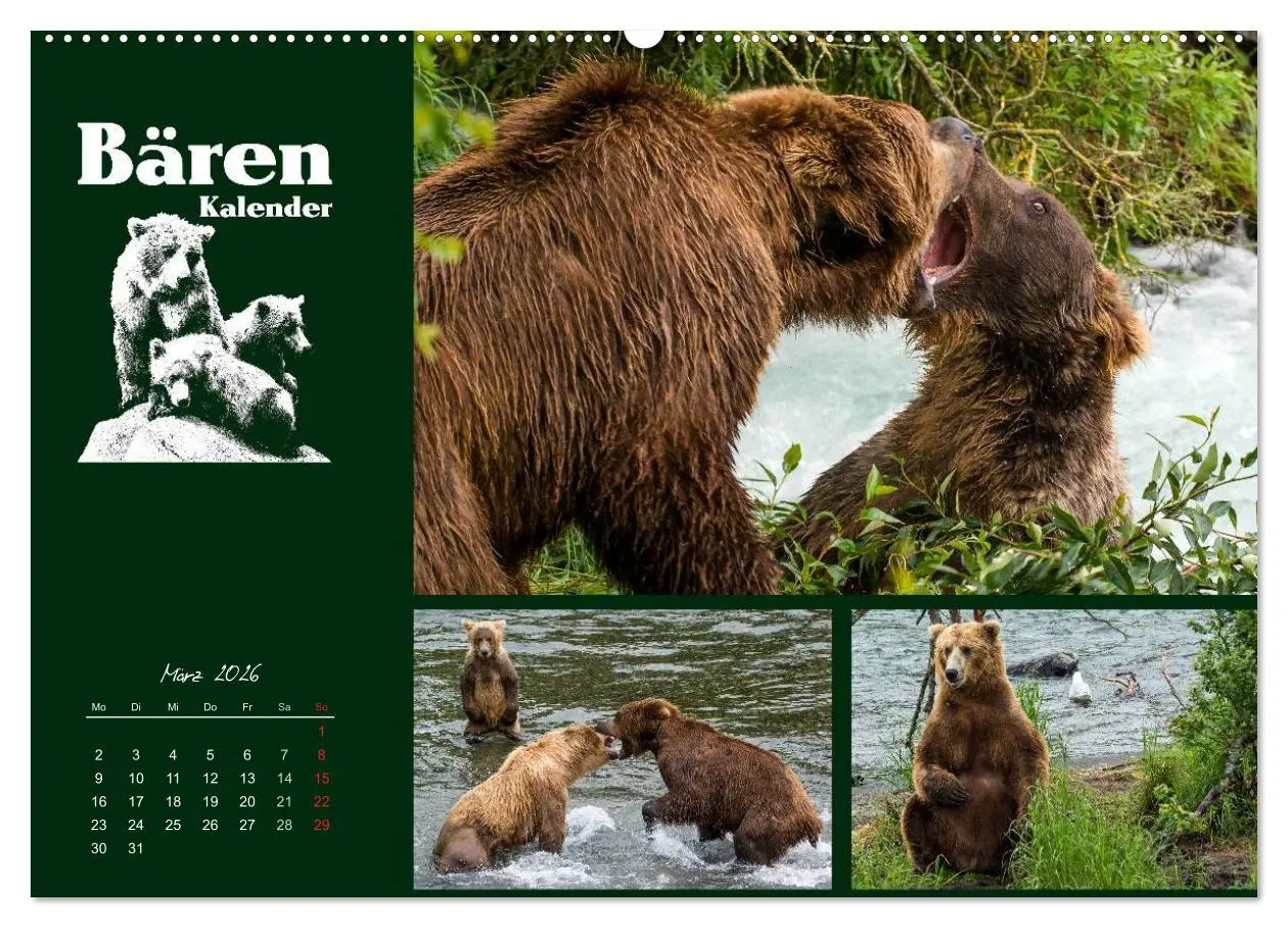 Bild: 9783516217407 | Bärenkalender (hochwertiger Premium Wandkalender 2026 DIN A2 quer),...